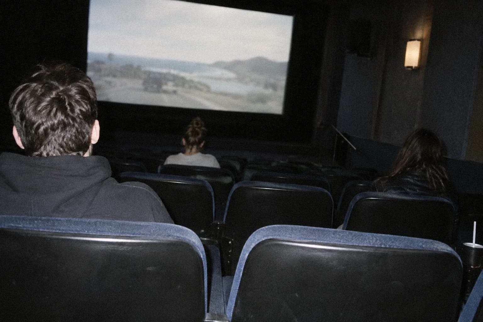 The back rows of an almost empty cinema during a weekday afternoon screening, three scattered viewers seen from behind, the lit screen ahead of them